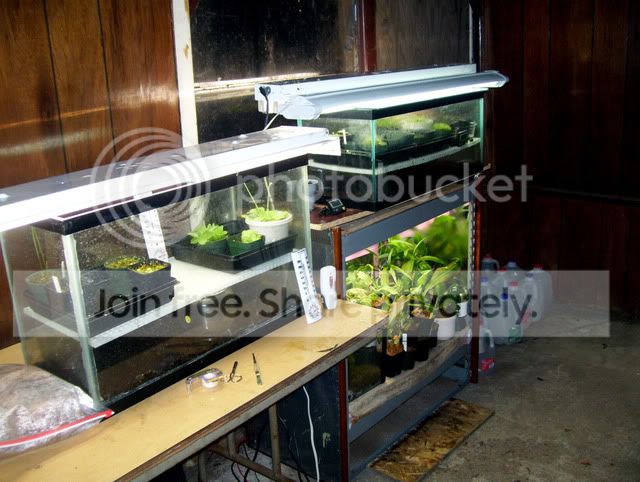 100_3917.jpg