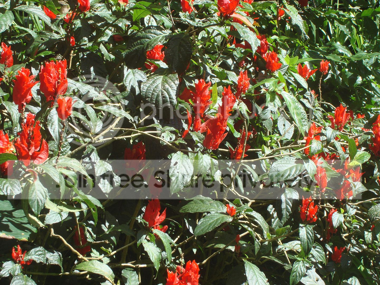 DSC08121.jpg