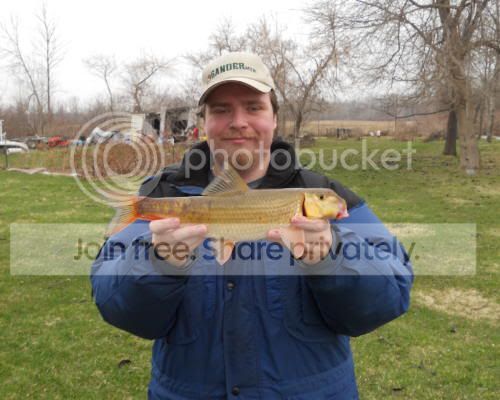 sucker01_4-10-11.jpg