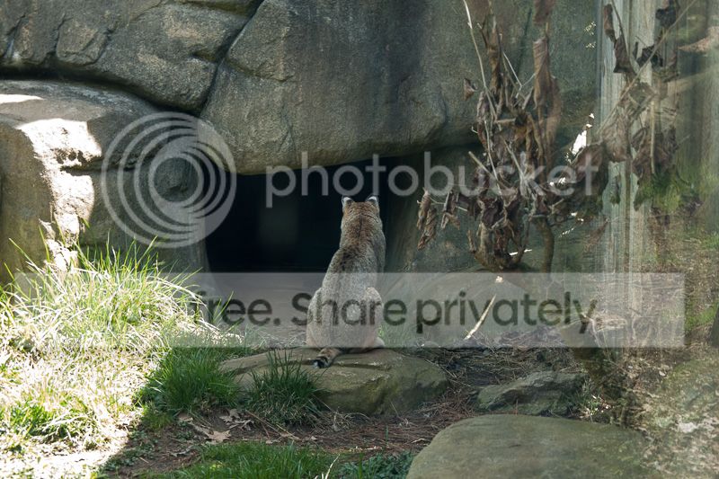 IMG_6457_zps75ba9d9e.jpg