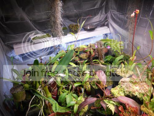 insidechamber01_3-8-12.jpg