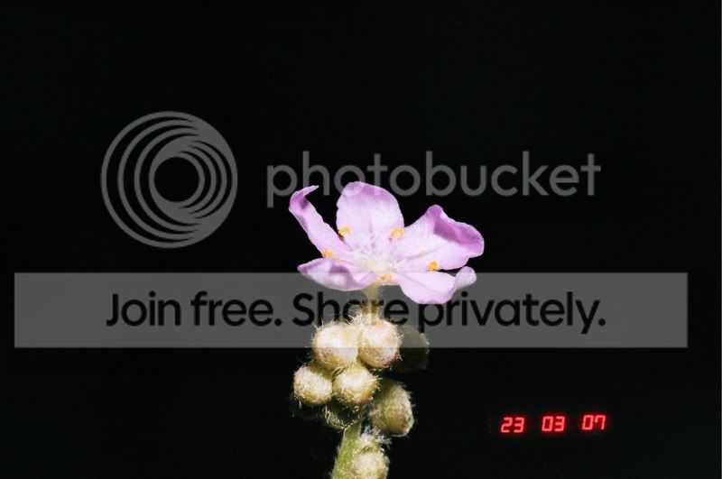 04380022.jpg