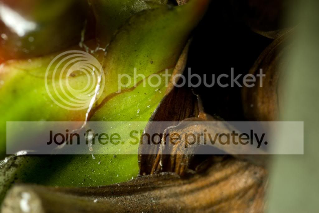 IMGP6121_zps6c04e3c7.jpg