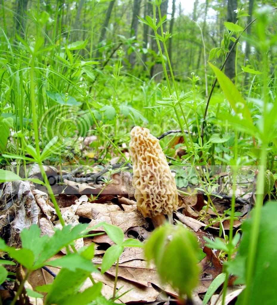 100_8394.jpg