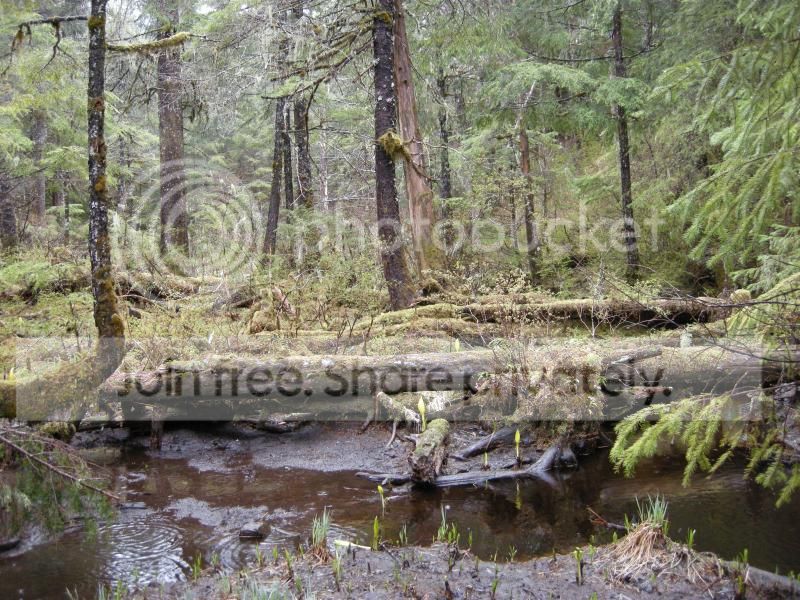 DSCN7239.jpg