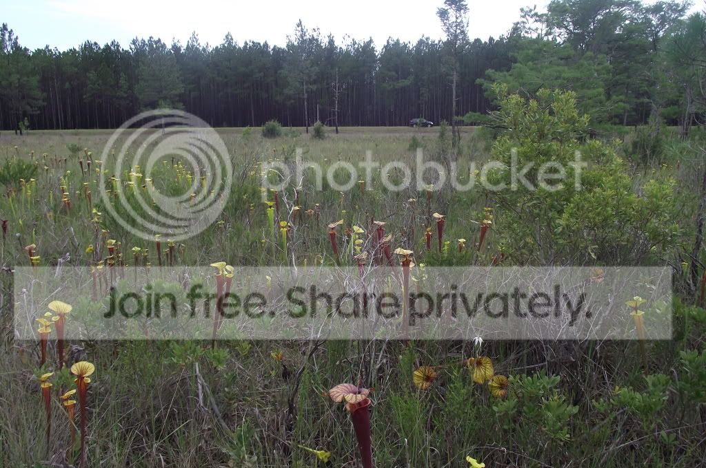 DSCF8167.jpg