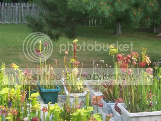 100_1251.jpg