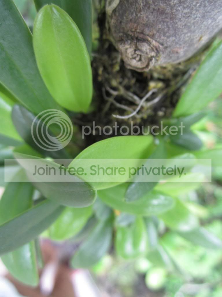 IMG_1160_zps4ad70d1d.jpg
