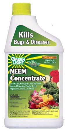neemconcentrate.jpg