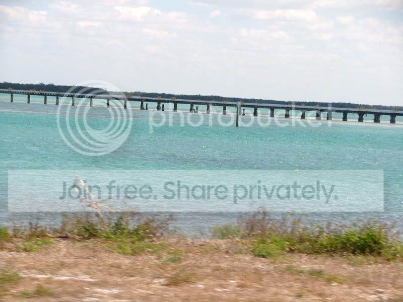 DSCF9402.jpg