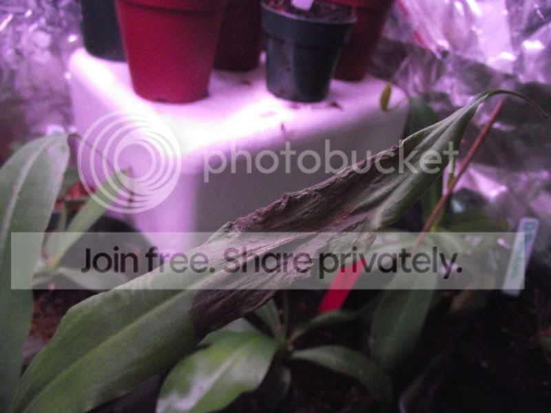 DSCF5892.jpg