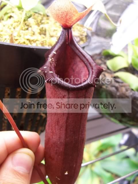 100_3958.jpg