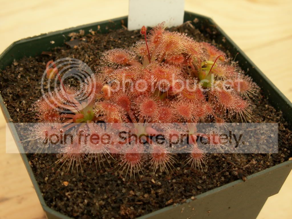 PICT0010.jpg