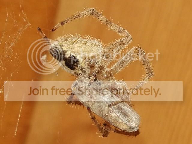 DSCF2649.jpg