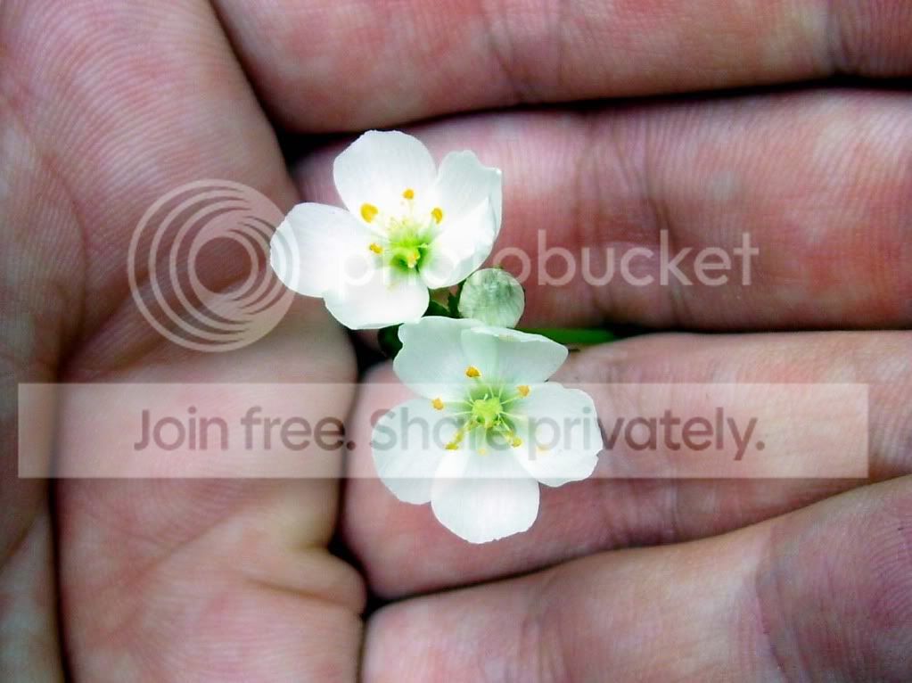100_5177.jpg