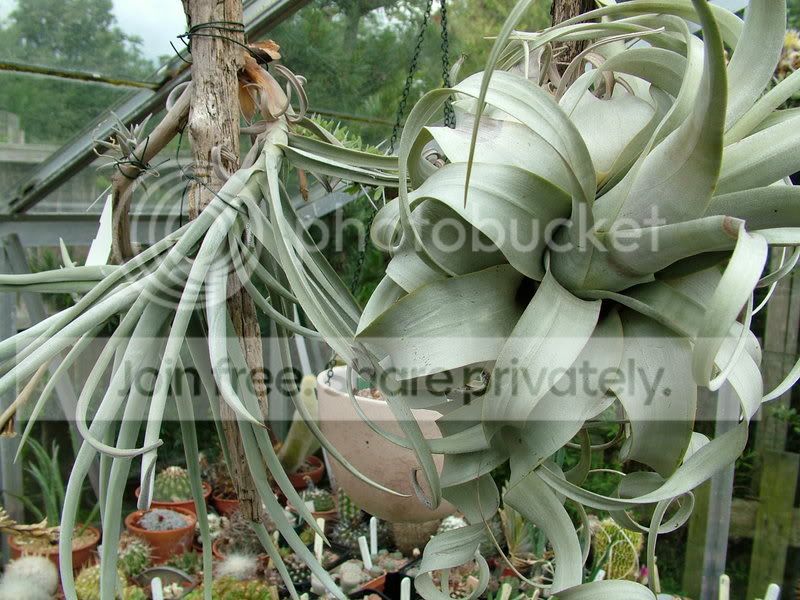 sculp_park138.jpg