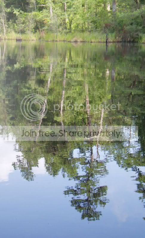 ReflectionRS.jpg