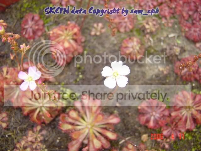 ThumbDSC00083.jpg