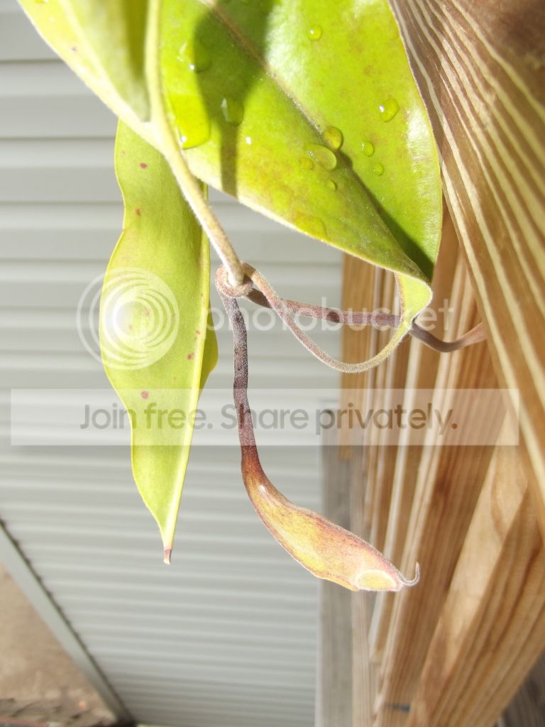 DSCF2628.jpg