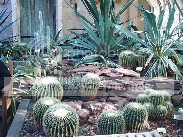 greenhouse3.jpg