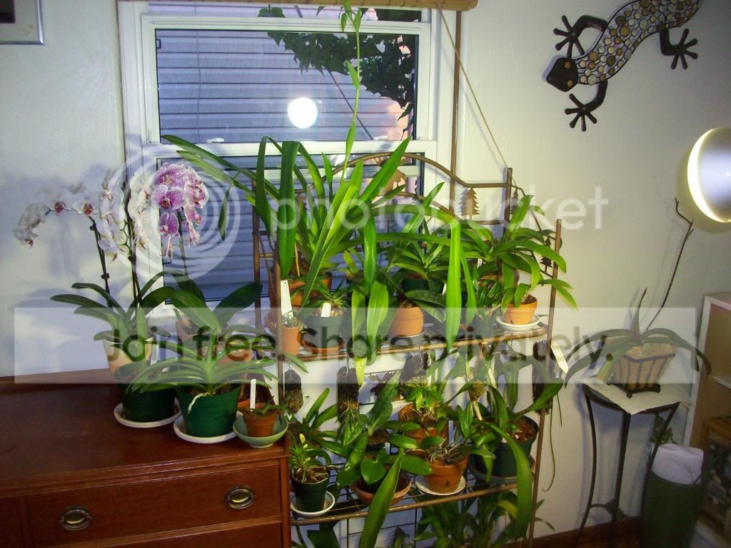 100_3400.jpg