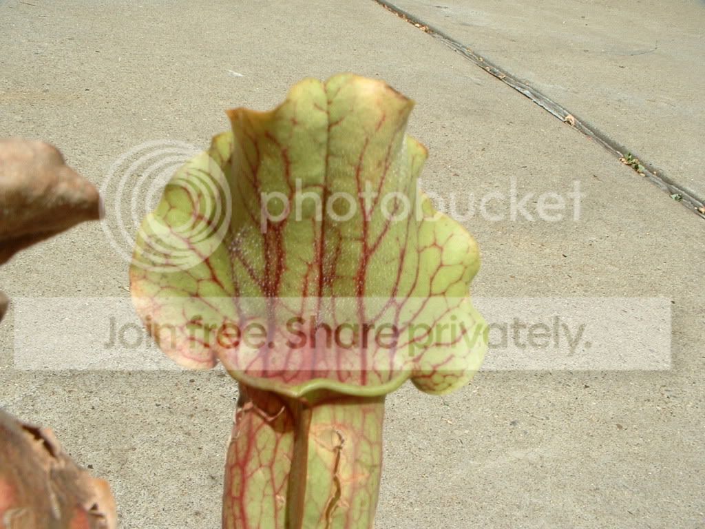 Vacation2010293.jpg