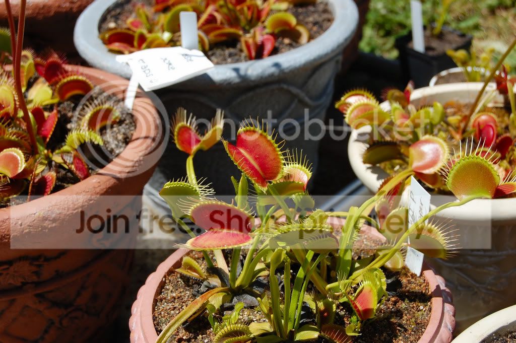 DSC_01740010.jpg