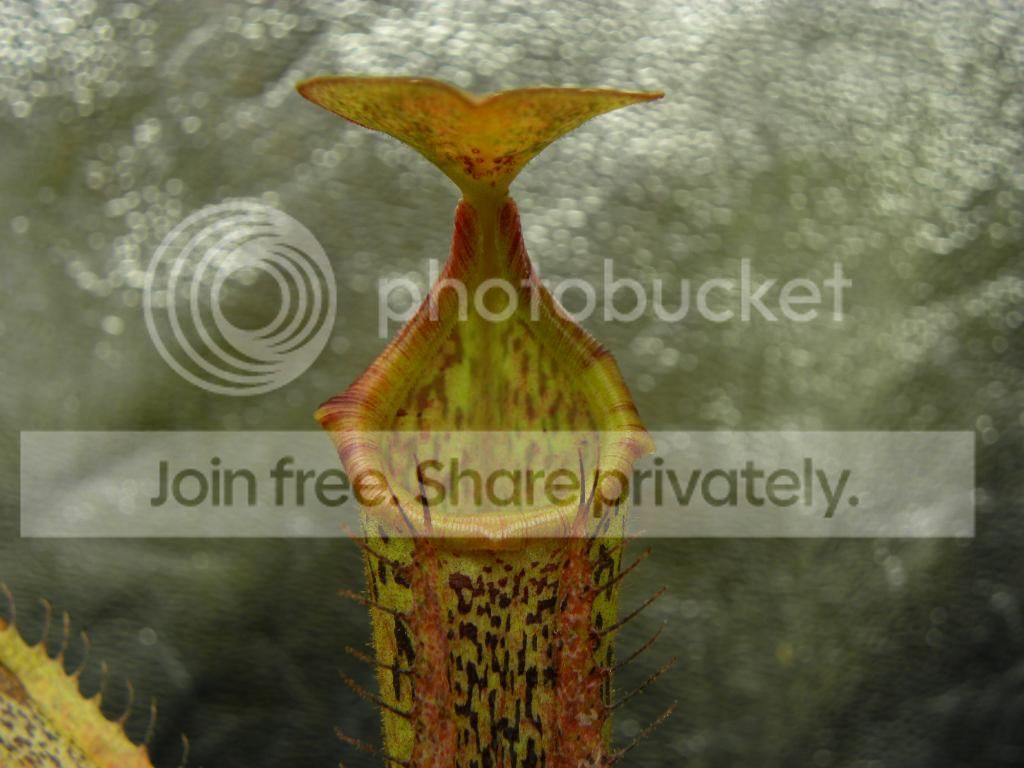 001_zps93004afa.jpg