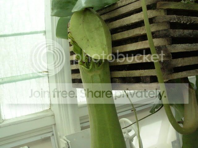 DSCN4041.jpg