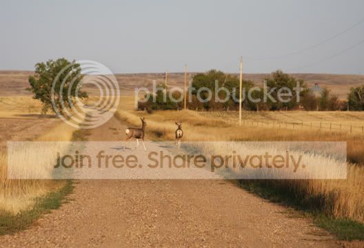 IMG_1768.jpg