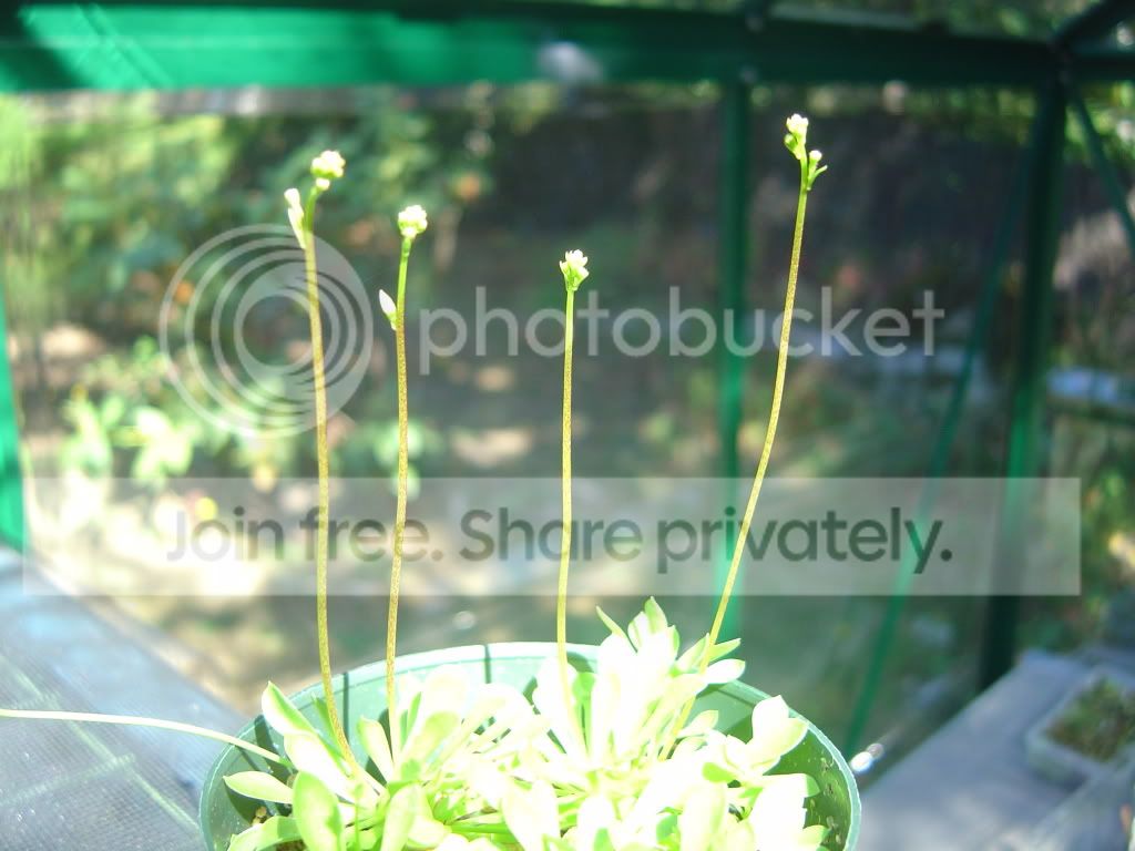 CPs7-22-09010.jpg