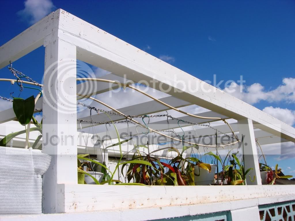 DSC05575.jpg