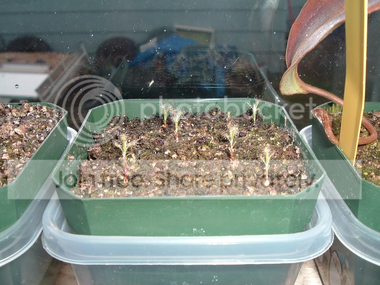 DSCF2339.jpg