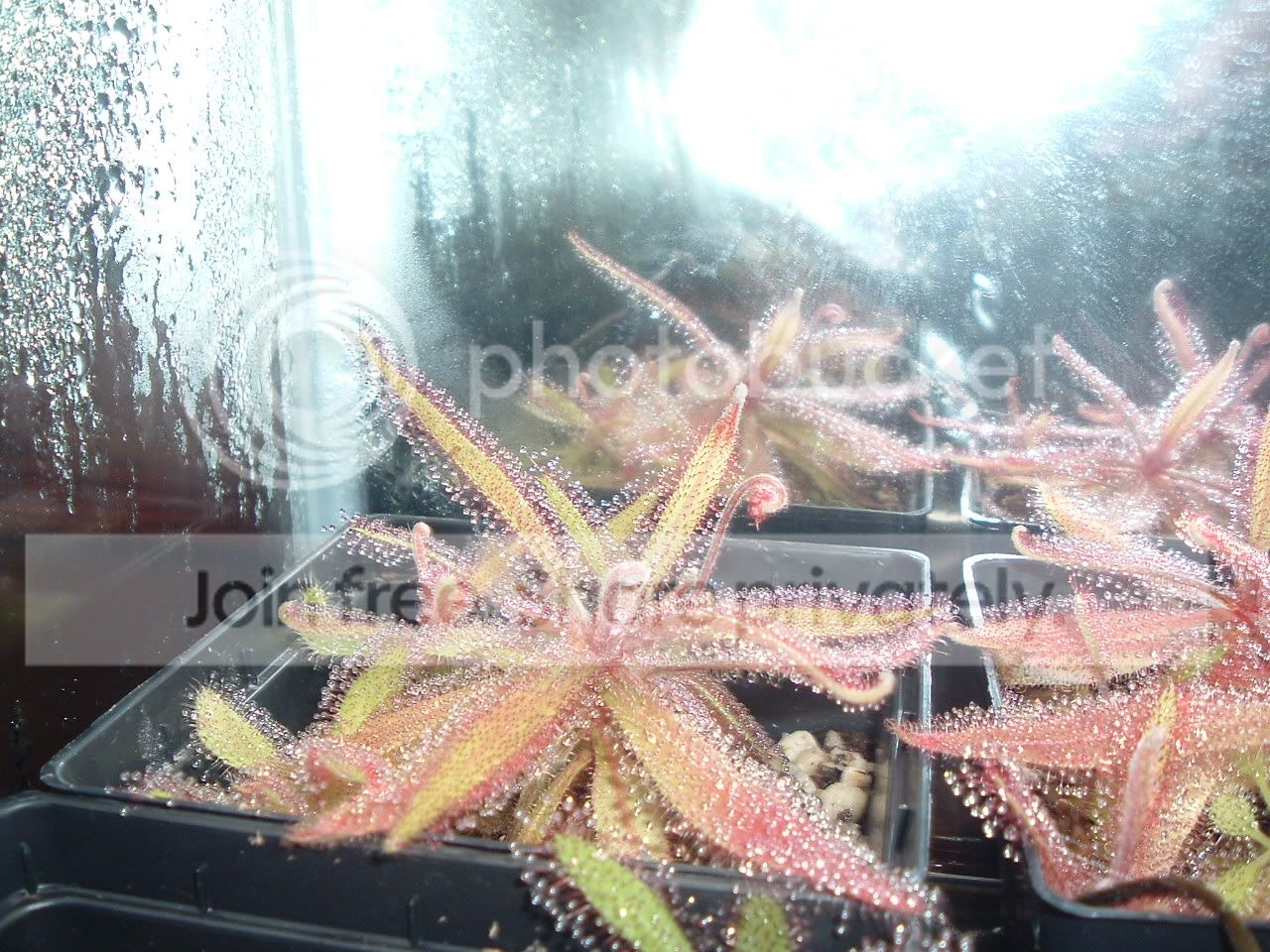 DSCF2321.jpg