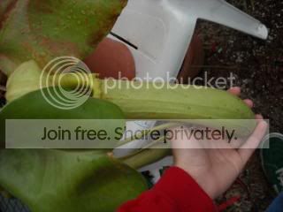DSCN0315-1.jpg