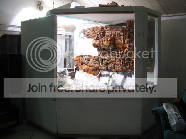 IMG_4877.jpg