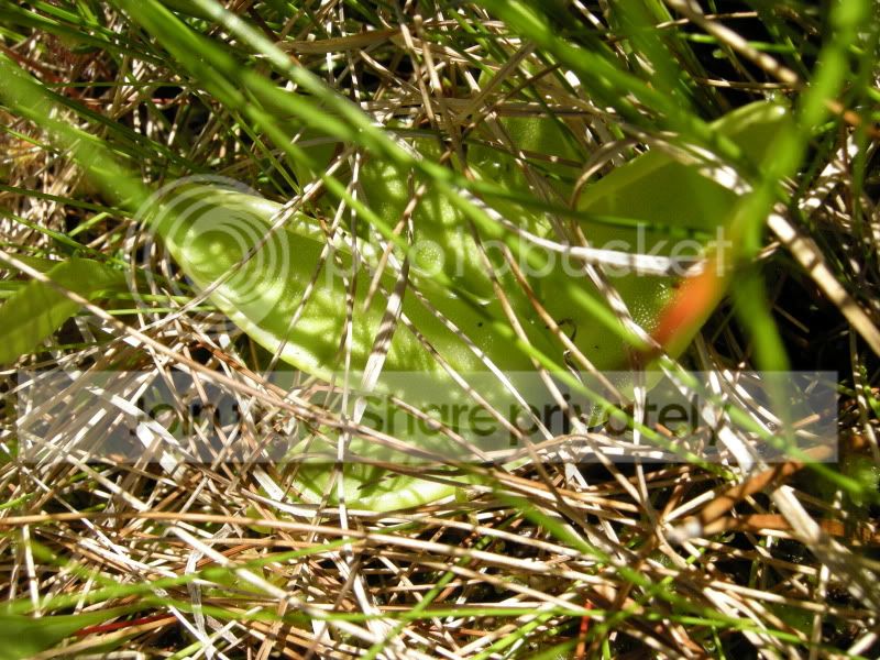 DSCN6123.jpg