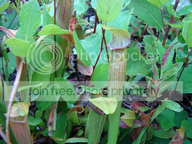 ReferenceandCPs034.jpg