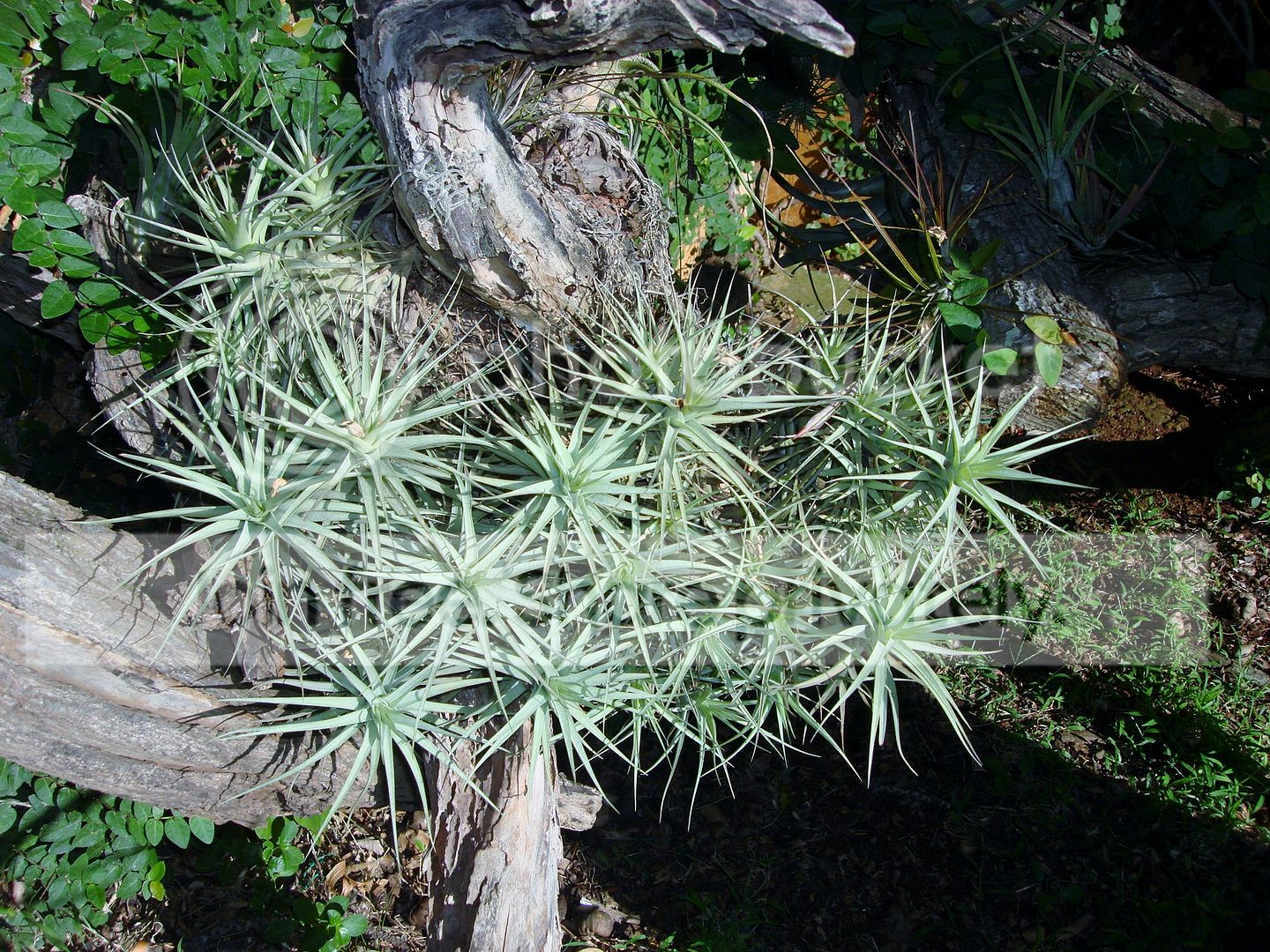 DSC07810.jpg