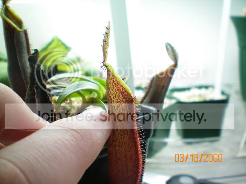100_0027.jpg