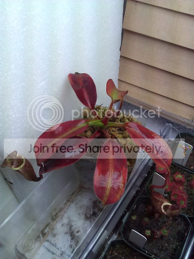 WP_000063.jpg