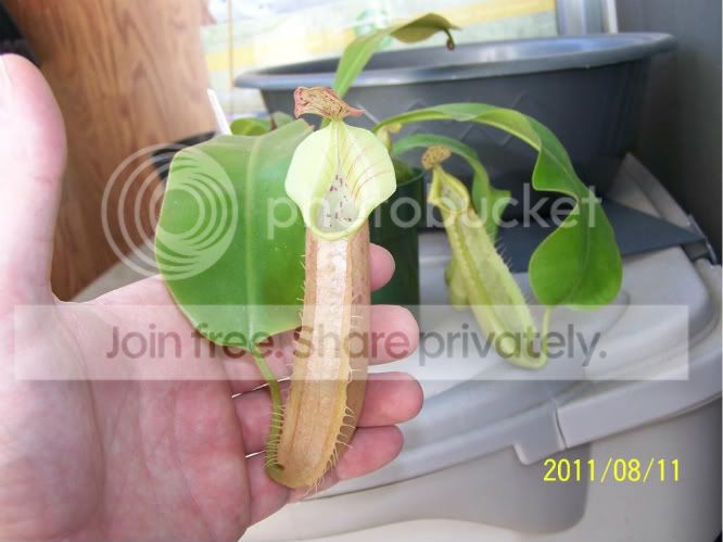 100_5033.jpg
