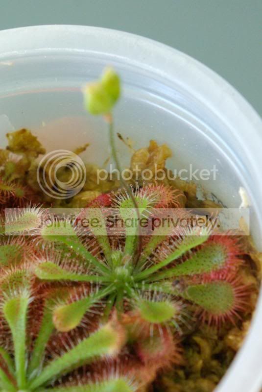_IGP0436a.jpg