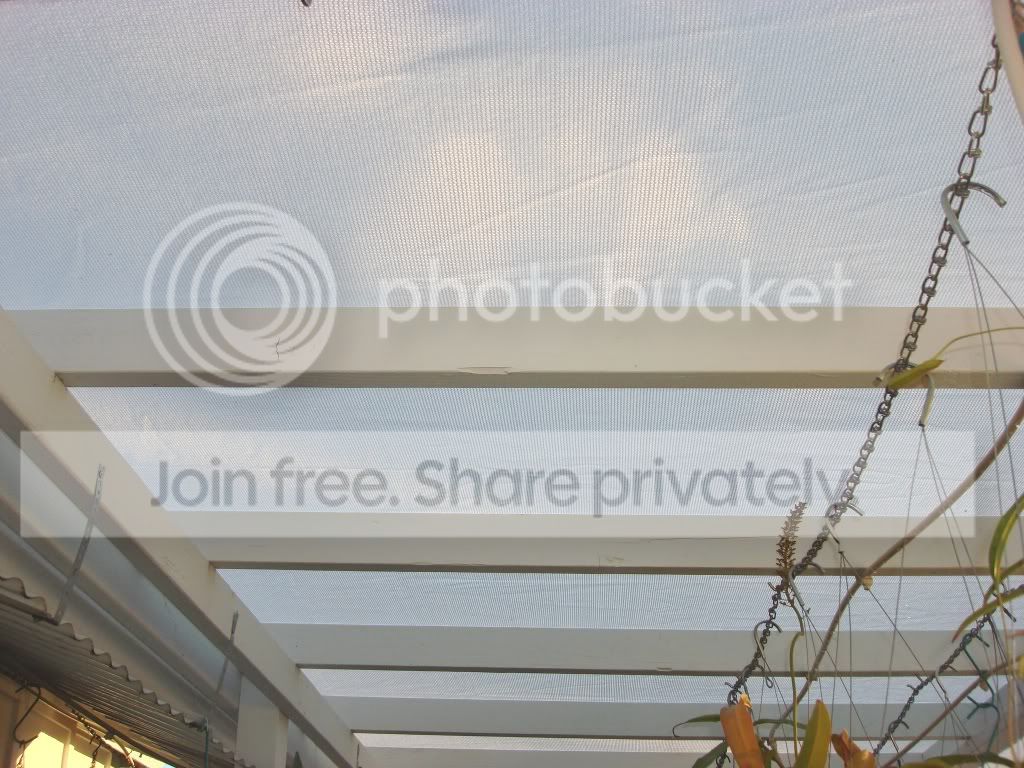 DSC05581.jpg