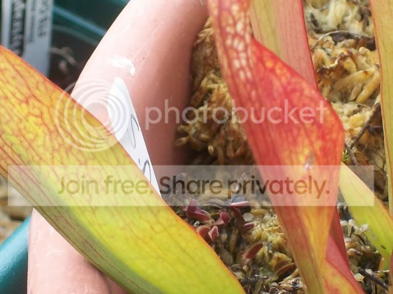 Picture017-2.jpg