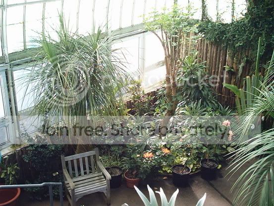 greenhouse2.jpg