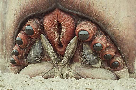 brainbug.jpg