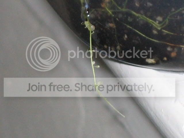 IMG_0169.jpg
