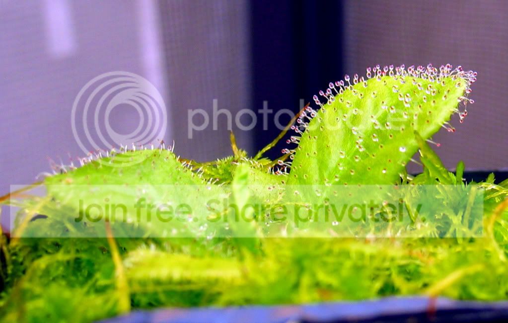 IMG_6865.jpg