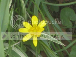 Spring2009014.jpg